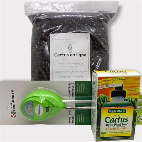 moisture meter for cactus|soil moisture for succulent cactus.